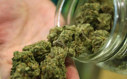 Marihuánát termesztett a tolnanémedi férfi