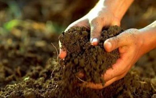 Be kell jelenteni a termőföld használatát