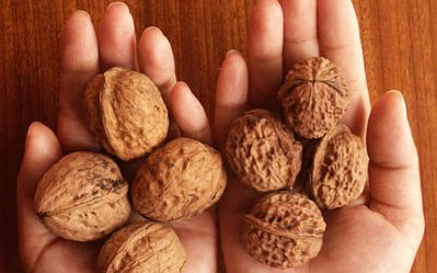 Diót akart lopni, de tetten érték