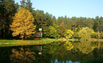 Erdei futással várják a sportszeretőket