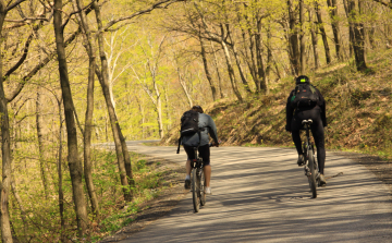 Mozdulj Tamási - Kerékpártúra