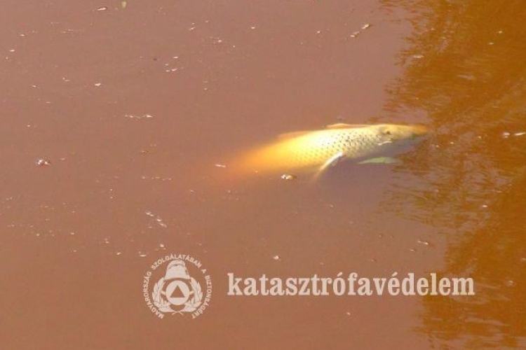 Kölesdnél tart a szennyezési hullám