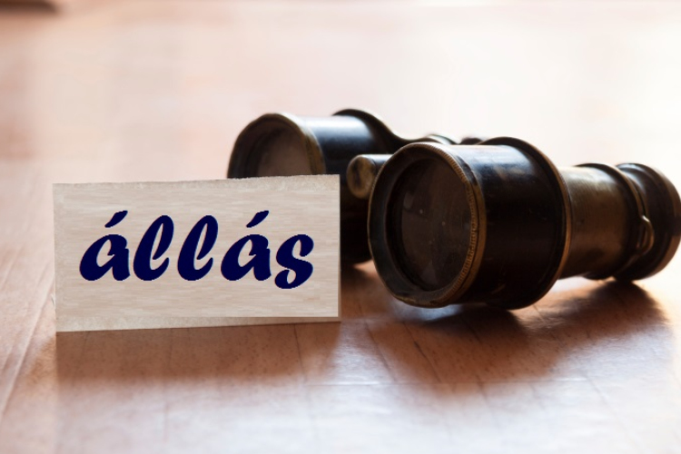 Tamási és környéke legfrissebb állásajánlatai