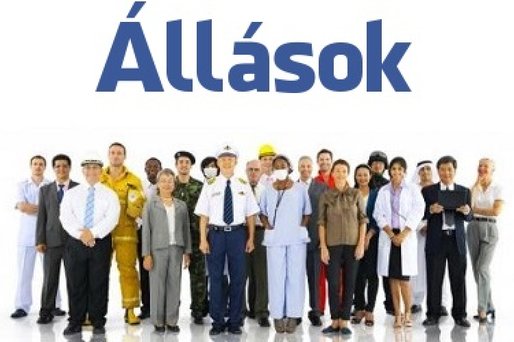 Állásajánlatok Tamásiban és környékén