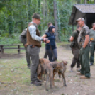 Trófeaszemle és szarvasbőgő élménytúra