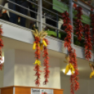 Közfoglalkoztatási konferencia