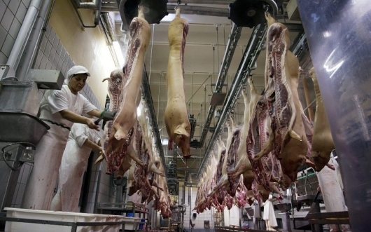 Kardeván: átmeneti intézkedés az orosz húsbeviteli tiltás