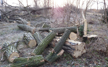 Vadmegfigyelő kamera buktatta le a tolvajokat