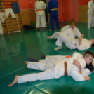 Edzenek a Fehérszarvasok