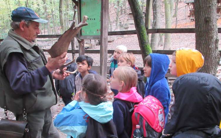 Az erdő lakóinak életével ismerkedtek a diákok