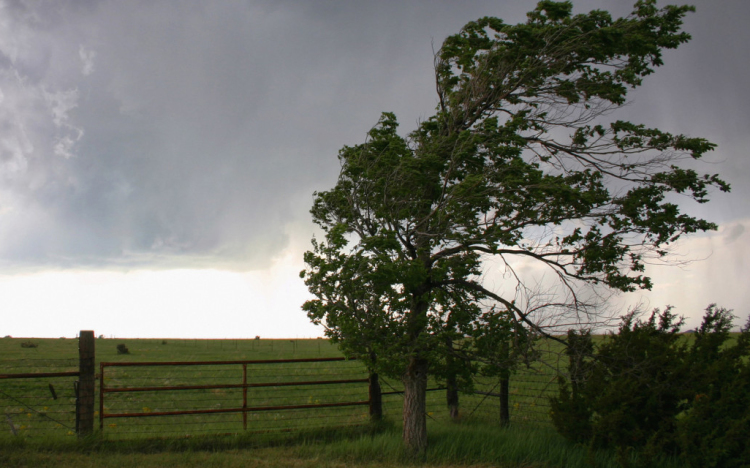 Kiadták a figyelmeztetést: jég, brutálisan erős szél, felhőszakadás fenyegeti Tolna megyét is