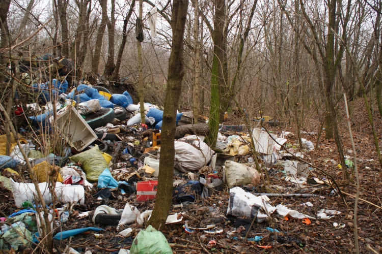 Az erdők megőrzése az egészségünk és társadalmi jólétünk alapja 
