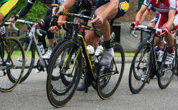 Országúti szakmai fórumot tartanak Tamásiban