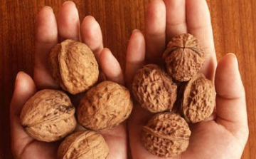 Diót akart lopni, de tetten érték