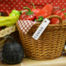 Közfoglalkoztatási konferencia