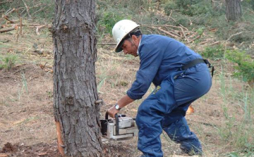 Boldog Apák Napját!