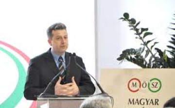 Ribányi József társelnök lett a MÖSZ-ben