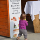 Kistérségi borverseny