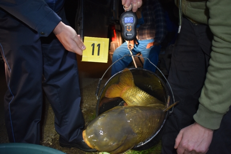 A ponyt volt a közös pont