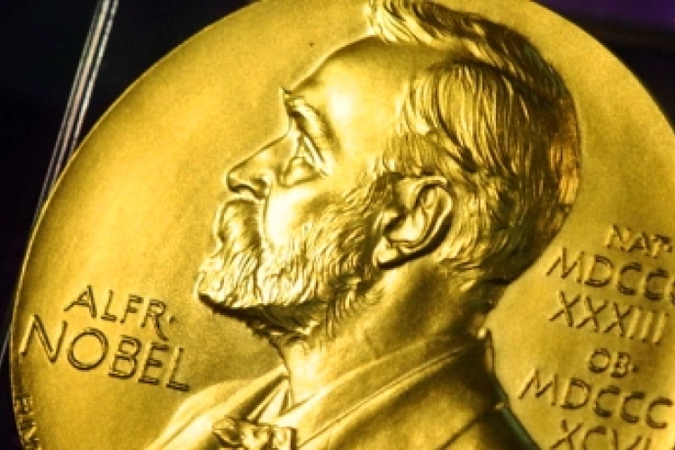 Nobel-díj - A komplex kémiai rendszerek modellezéséért hárman kapták a kémiai Nobel-díjat