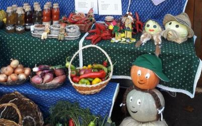 Négy település vett részt az országos bemutatón