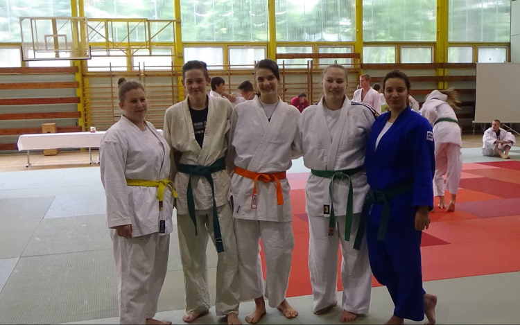 Sikerek a diákolimpiai országos döntőben 