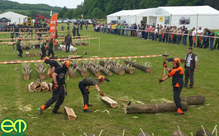 STIHL fakitermelő verseny zajlott a Dél-Dunántúlon