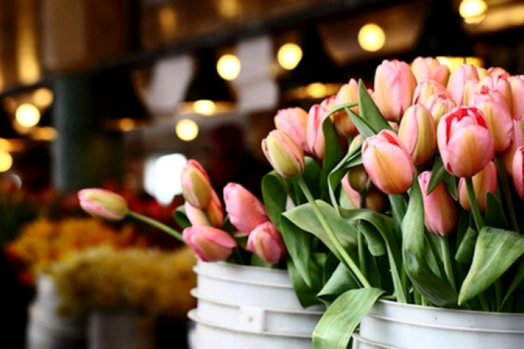 Nőnapi ellenőrzések zajlanak a héten Tolna megyében 