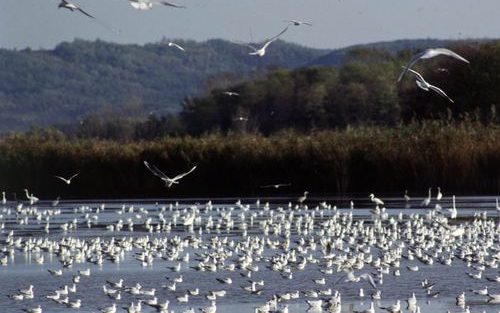 A jó idő közeledtével megkezdődnek a túrák Tolna megye természetvédelmi területein