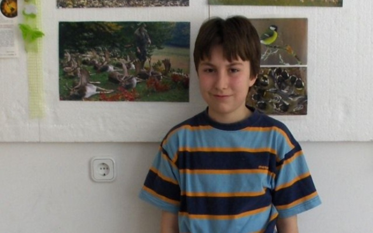 XXIV. Bátaszéki Matematikaverseny