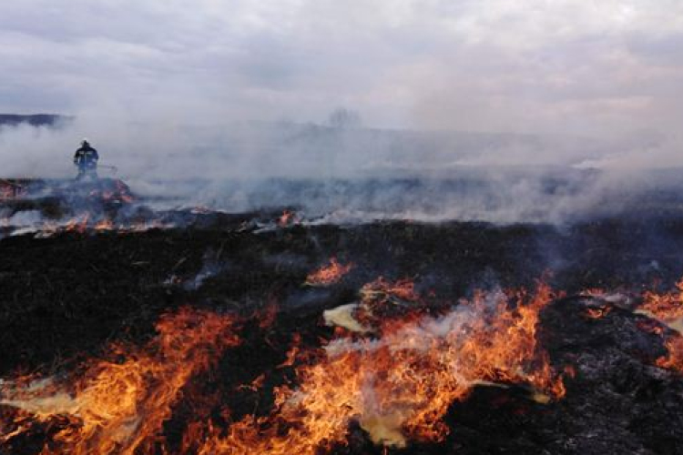 Bár sok téves riasztás volt, szándékos megtévesztő jelzés nem futott be a tűzoltókhoz 