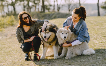 Ebösszeírást tartanak Tamásiban