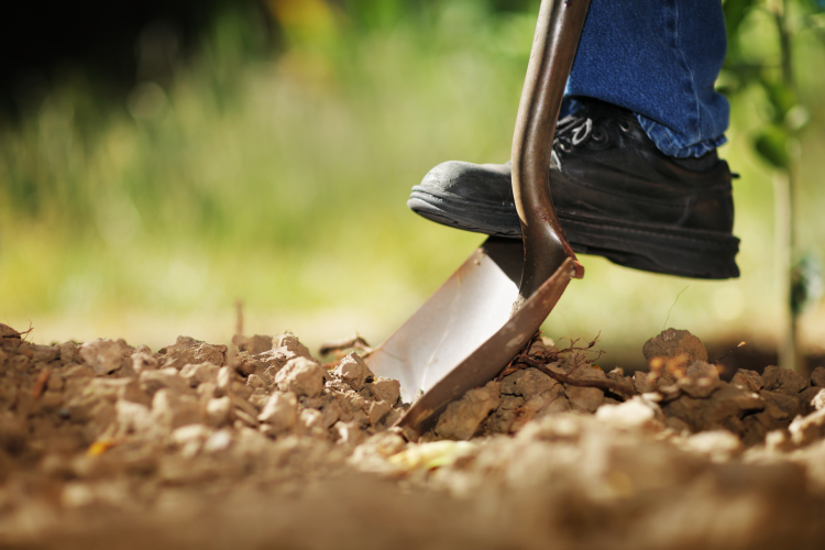 Elindultak a 2016. évi közfoglalkoztatási programok Tolna megyében