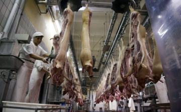 Kardeván: átmeneti intézkedés az orosz húsbeviteli tiltás