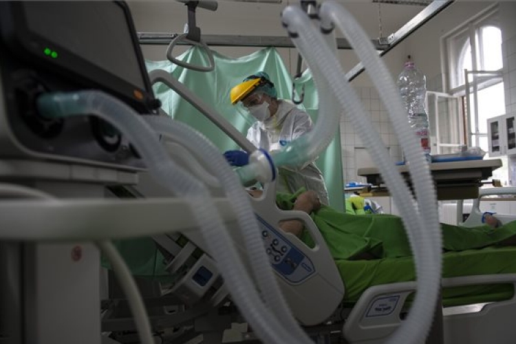 Kritikus a helyzet szlovén kórházakban