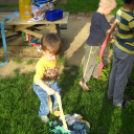 Májusfa állítás az oviban