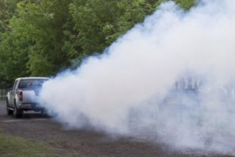 Földi szúnyoggyérítés lesz ma Tamásiban