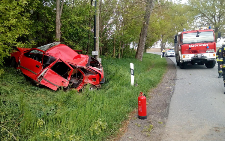 A fa állította meg az autót