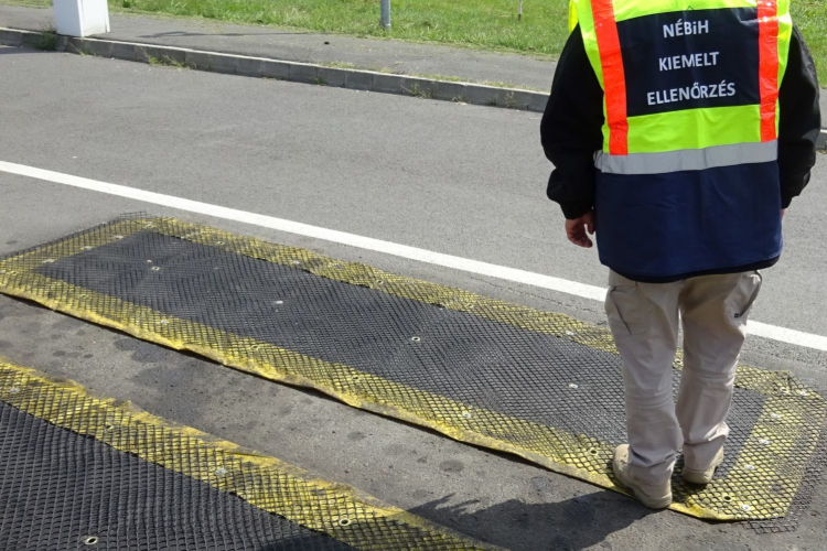 Lecsapott a Nébih: 104-ből 100 sertés megbukott az ellenőrzésen