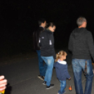 Trófeaszemle és szarvasbőgő élménytúra