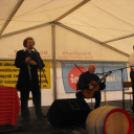 Kistérségi borfesztivál - 2013.04.06.