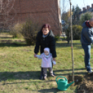 Faültetés a 2015-ben született gyermekek tiszteletére