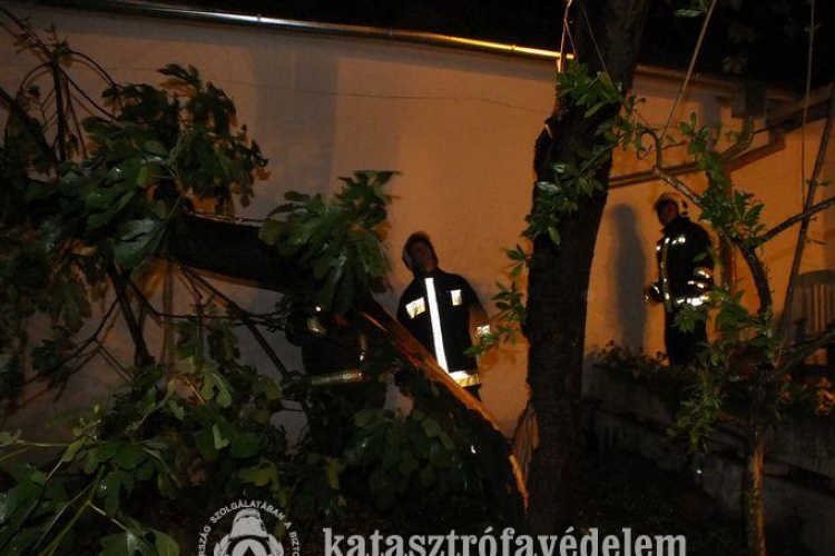 Több mint félszáz vonulás a viharos erejű szél miatt 