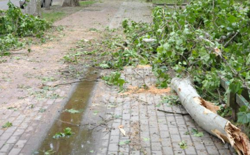 Több ízben is akadt dolguk a tamási tűzoltóknak