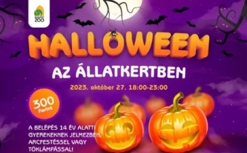 Halloween-programokkal várja péntek este a Fővárosi Állatkert az érdeklődőket