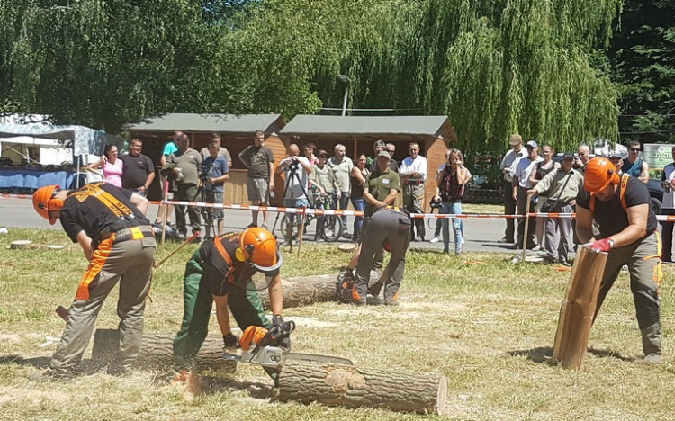 Nagy csatában dőlt el a STIHL fakitermelő verseny Tamásiban 