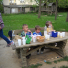 Májusfa állítás az oviban