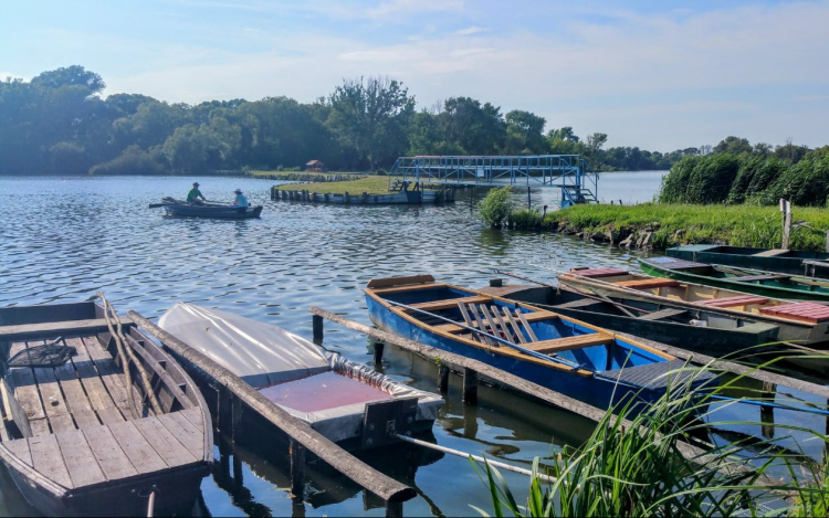 Dombóvárra kirándulnak a természetjárók 