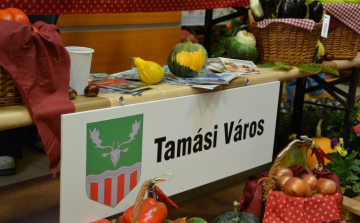 Közfoglalkoztatási Kiállítás és Konferencia Tamásiban