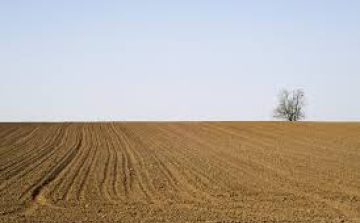 Kimérik az osztatlan közös földtulajdont